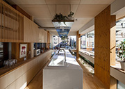 中村自邸+2つのアトリエ 室内